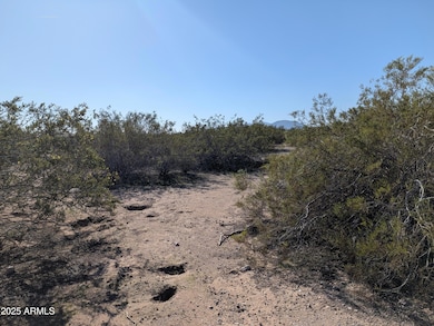 39143 W Catalina Dr unit 1164, West Phoenix Estates, AZ 85354 - photo 6