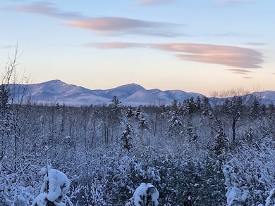 454 Little Pond Rd, Center Sandwich, NH 03227 - photo 3