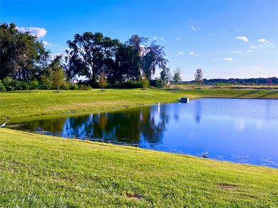 2477 Spring Tune Aly, Kissimmee, FL 34744 - photo 7