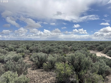 0 Kna Lost Forest Ln unit 4700, Christmasvalley, OR 97641 - photo 3