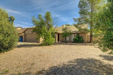 Mesquite (5)