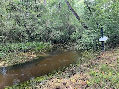 830 Colbert Bridge Rd, Windsor, SC 29856 - photo 2