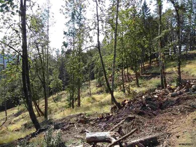 24845 Hidden Valley Rd, Philomath, OR 97370 - photo 6