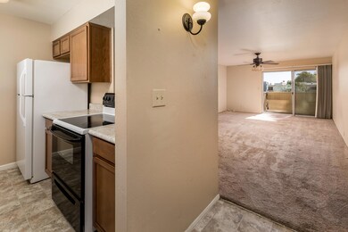 view to living room