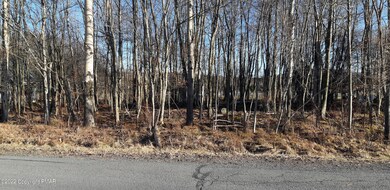32-41-10 Lake Shore Dr, Pocono Lake, PA 18347 - photo 3