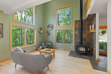 294 Mine Dump Rd, Fairplay, CO 80440 - photo 2