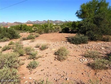 4 raw land with natural vegetation