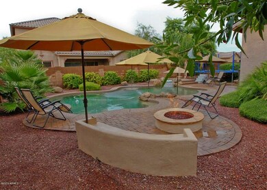 Backyard-2
