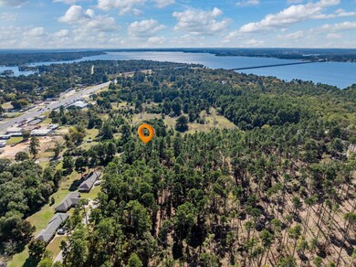 0, Flint, TX 75762 - photo 4