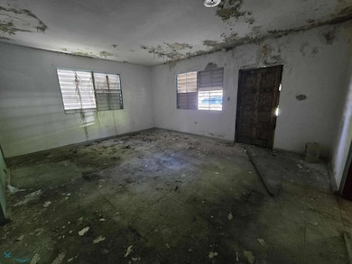 1 Bo Lomas, Canovanas, PR 00729 - photo 2