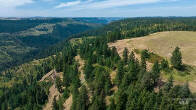 1605 Jasmine Ln Parcels 16 & 17, Weippe, ID 83553 - photo 6