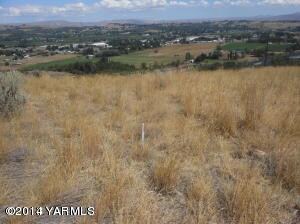 3- White stake marks boundary