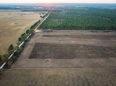 003 An County Road 117, Elkhart, TX 75839 - photo 4