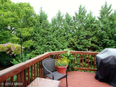 14008 Winding Ridge Ln, Centreville, VA 20121 - photo 5