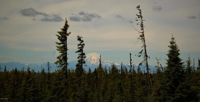 C13 Alaskan Wildwood Ranch(r), Nikolaevsk, AK 99556 - photo 5