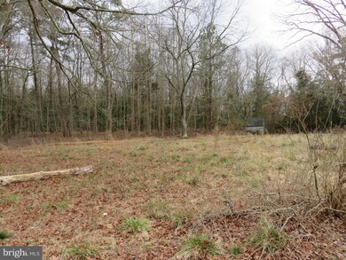 42 Mt Joy Rd and Rolling Rd, Millsboro, DE 19966 - photo 4