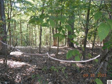 0 Rivers End Ct unit Lot 121, Cadiz, KY 42211 - photo 4
