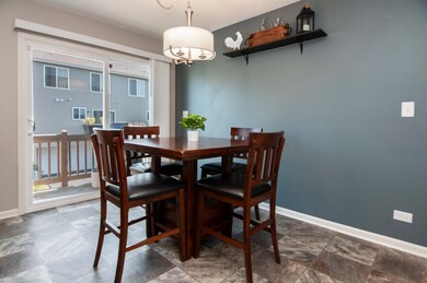 1751 Ruby Dr, Pingree Grove, IL 60140 - photo 3