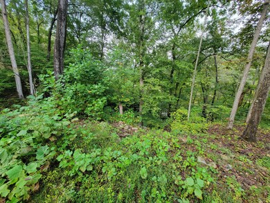 150 Punch's End, Burnside, KY 42519 - photo 4