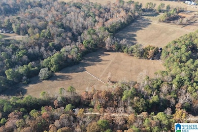 330 County Road 1055, Montevallo, AL 35115 - photo 4