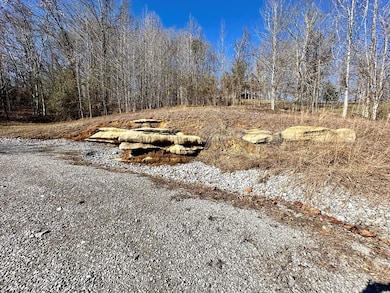0 Shady Creek Ln, Byrdstown, TN 38549 - photo 2