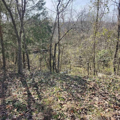 L-3, B-24 Algonquin Cir, Cherokee Village, AR 72529 - photo 5