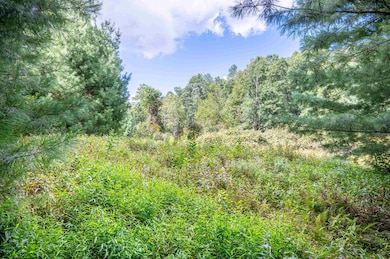 000 Cox Store Rd SW, Floyd, VA 24091 - photo 2