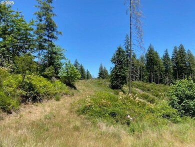 15996 Nonpareil Rd, Sutherlin, OR 97479 - photo 3