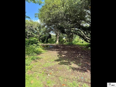4005 Highway 134, Epps, LA 71237 - photo 2