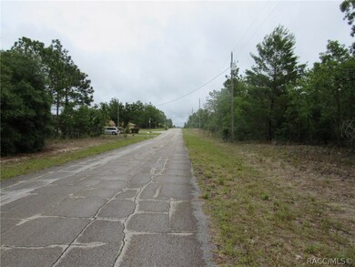 3324 W Wilhelm St, Citrus Springs, FL 34433 - photo 2