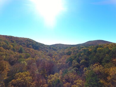 0 Royal Oaks Trail unit 23615967, Young Harris, GA 30582 - photo 3