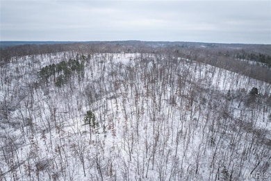 000 Click, Richwoods, MO 63071 - photo 7