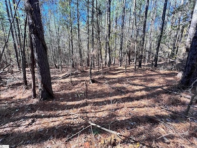 0 Eastview Rd, Pelzer, SC 29669 - photo 2