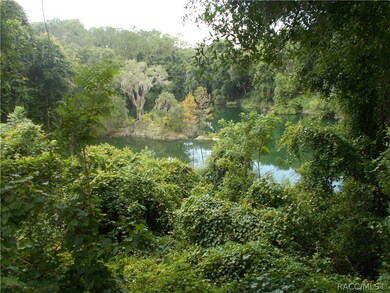 3378 N Chandler Dr, Hernando, FL 34442 - photo 7