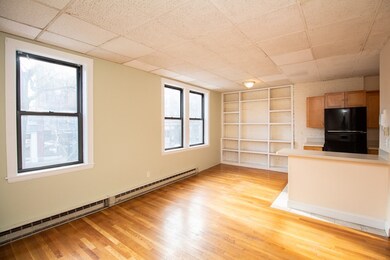 217 Washington St unit 1, Brookline, MA 02445 - photo 2