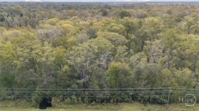 0 N Coastal Hwy, Midway, GA 31320 - photo 2