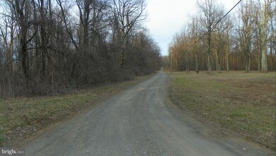 13 Axton Ln, Linden, VA 22642 - photo 4