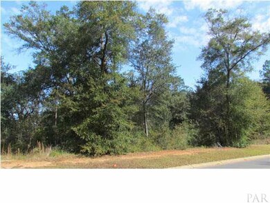 View of wooded lot