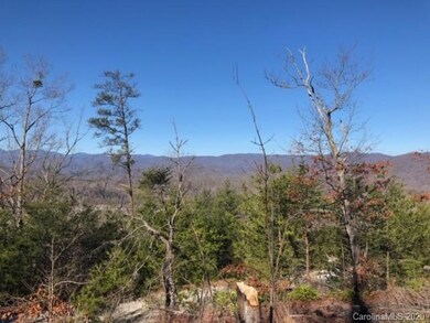 33 Dobsons Knob Loop Rd unit 33, North Cove, NC 28752 - photo 7