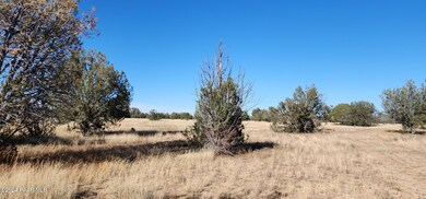 2775 S Canyon Vista Rd, Williams, AZ 86046 - photo 2