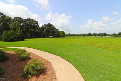 1535 Irby Rd - Frontyard 2