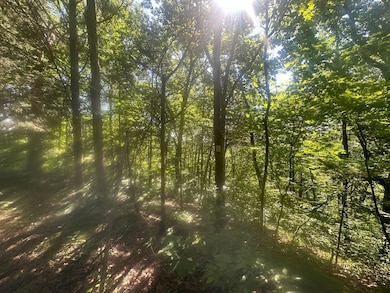 24 Rock Springs Rd, Celina, TN 38551 - photo 2