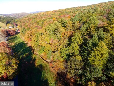 63 +/- Acres Off Needmore Rd, Baker, WV 26801 - photo 5