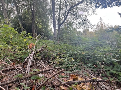 4610 Hemlock Ln NW, Gig Harbor, WA 98335 - photo 3