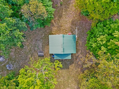 1464 N Raymond Rd, Luther, MI 49656 - photo 3