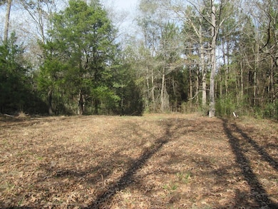 778 Hortons Hollow Rd, Lufkin, TX 75904 - photo 5