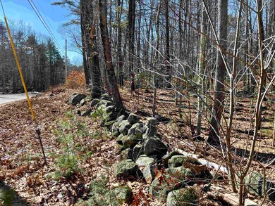 Lot 5 Middle Rd unit 29-002-005, Center Tuftonboro, NH 03816 - photo 6