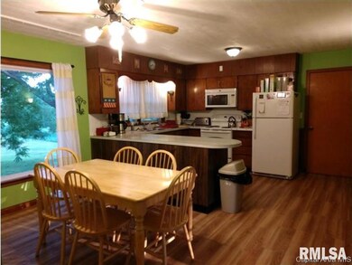 230 S East St, Virginia, IL 62691 - photo 6