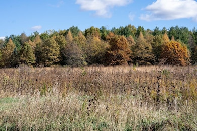 7311 Riverside Rd, Gratiot, WI 53541 - photo 5