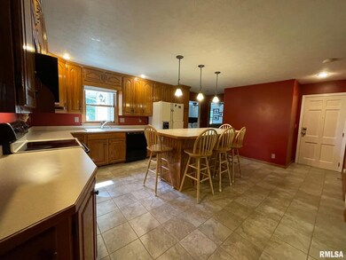 1258 Lynnville Woodson Rd, Jacksonville, IL 62650 - photo 4